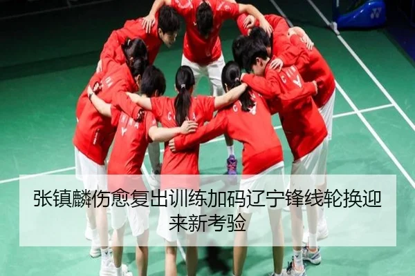 张镇麟伤愈复出训练加码辽宁锋线轮换迎来新考验(dafabet)